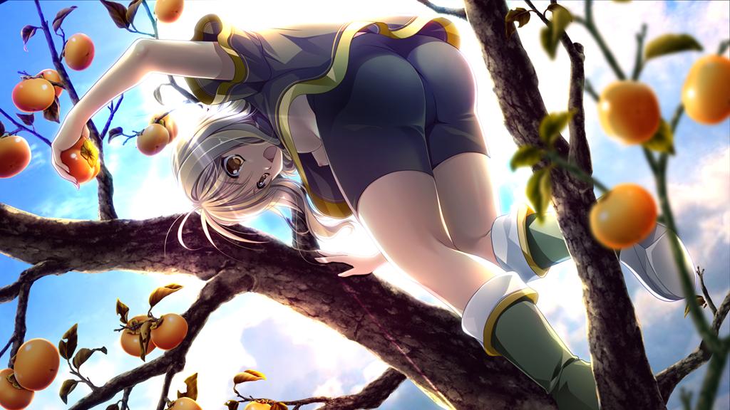 Senjou no Folklore -Boukoku no Kishi Dan- + Additional Scenario page 10 full