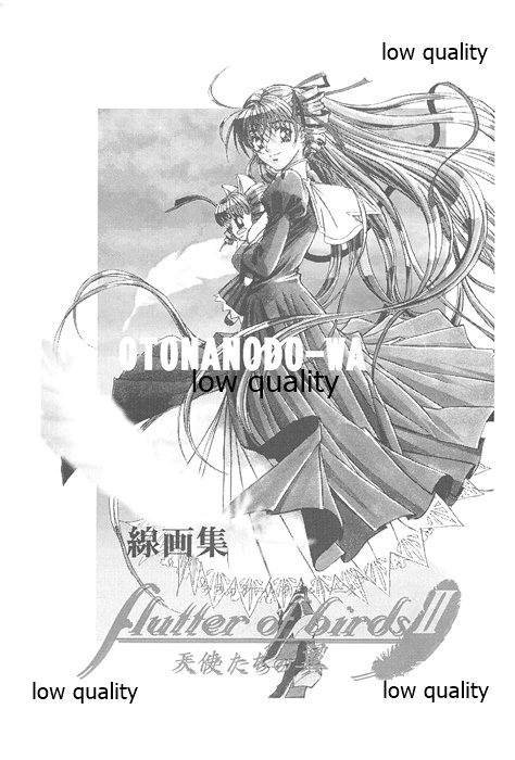 flutter of birdsII 天使たちの翼 線画集 page 2 full