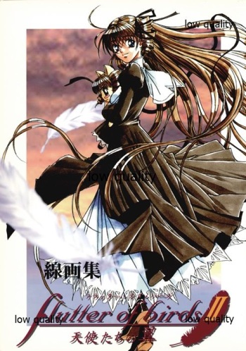 flutter of birdsII 天使たちの翼 線画集 cover