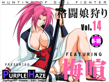 Kakutou Musume Gari Vol. 14 Baiken Hen cover