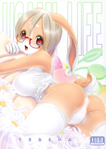 USAMI LIFE cover