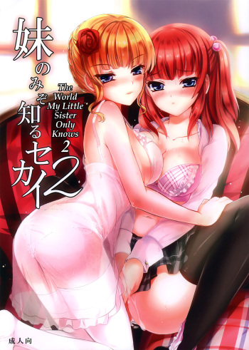 Imouto Nomi zo Shiru Sekai 2 | The World My Little Sister Only Knows 2 cover