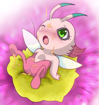 pokephilia.booru.org siterip 1~1,999 page 4 full