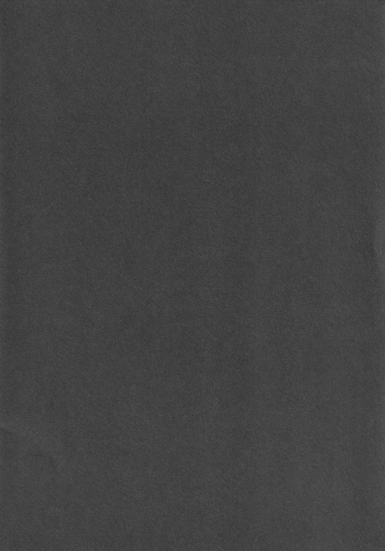 IRIOMOTE  Dai 15 Kai Reitaisai Kaijou Genteibon page 2 full