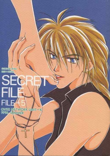 SECRET FILE FILE-5 cover