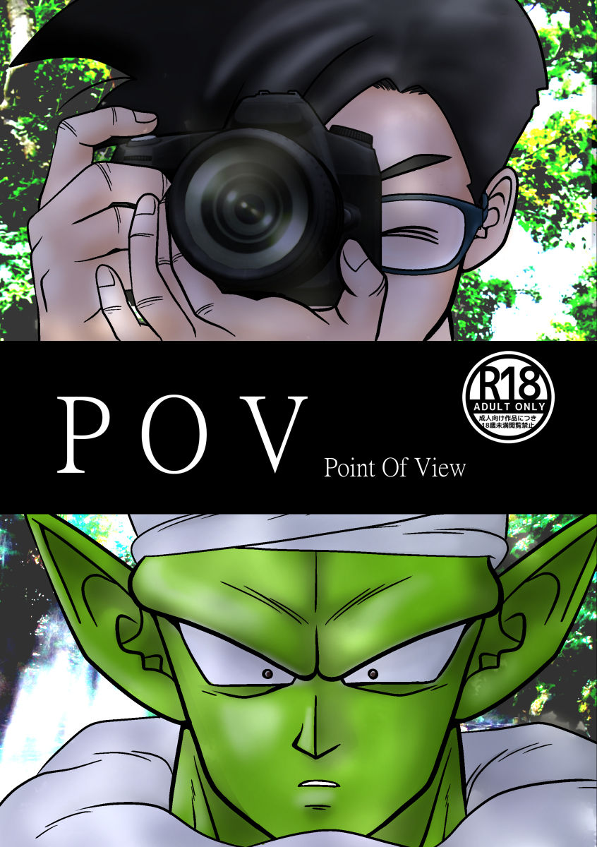 POV page 1 full
