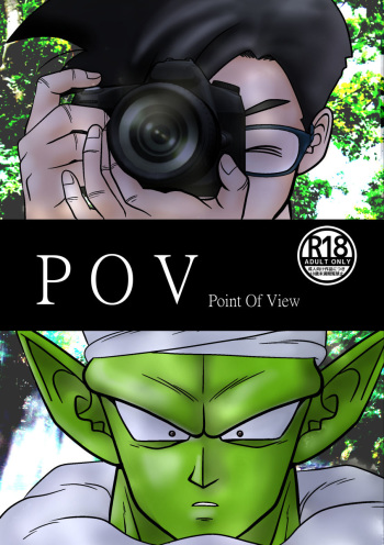 POV cover