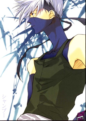 Shampoo cover