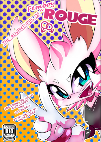 The Adventures of Femboy Rouge cover