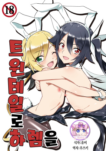 Twintail de Harem o | 트윈테일로 하렘을 cover