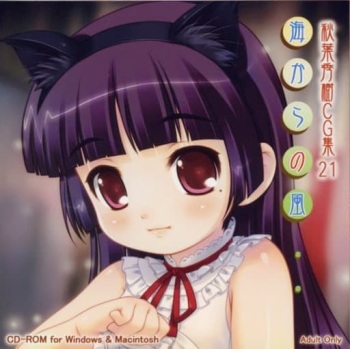 Umi kara no Kaze Akiba Hideki CG-Shuu 21 cover