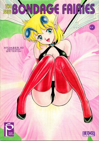 The New Bondage Fairies 10 cover