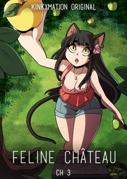 Feline Château CH3