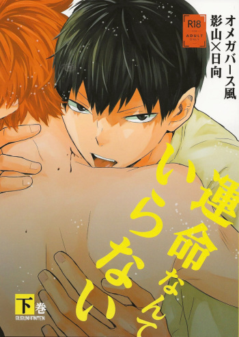 Unmei nante Iranai Gekan cover