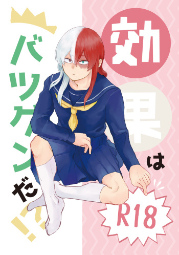 Kouka wa Batsugunda!? cover