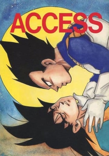 ACCESS cover