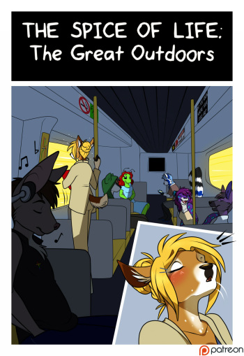 The Great Outdoors cover