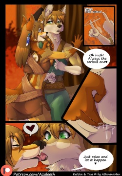 Woodland Encounters
