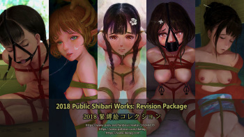 2018 Shibari revision HD cover