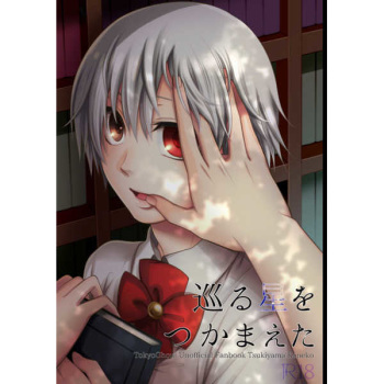 Meguru Hoshi o Tsukamaeta cover