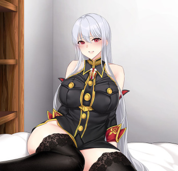 Selvaria cover