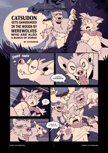 Catsudon Gets Gangbanged In the Woods By Werewolves Who Are Also a Bunch of Dorks cover