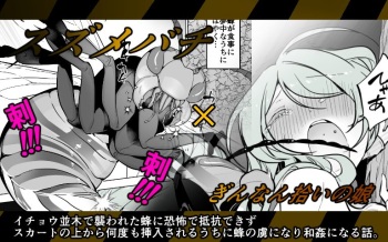 hachi × ginnan hiroi no musume cover