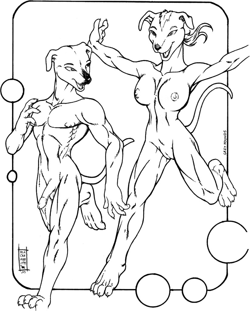 K9 Portfolio page 6 full
