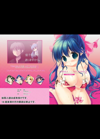 TRIANGLE X18 ART WORKS 2 cover