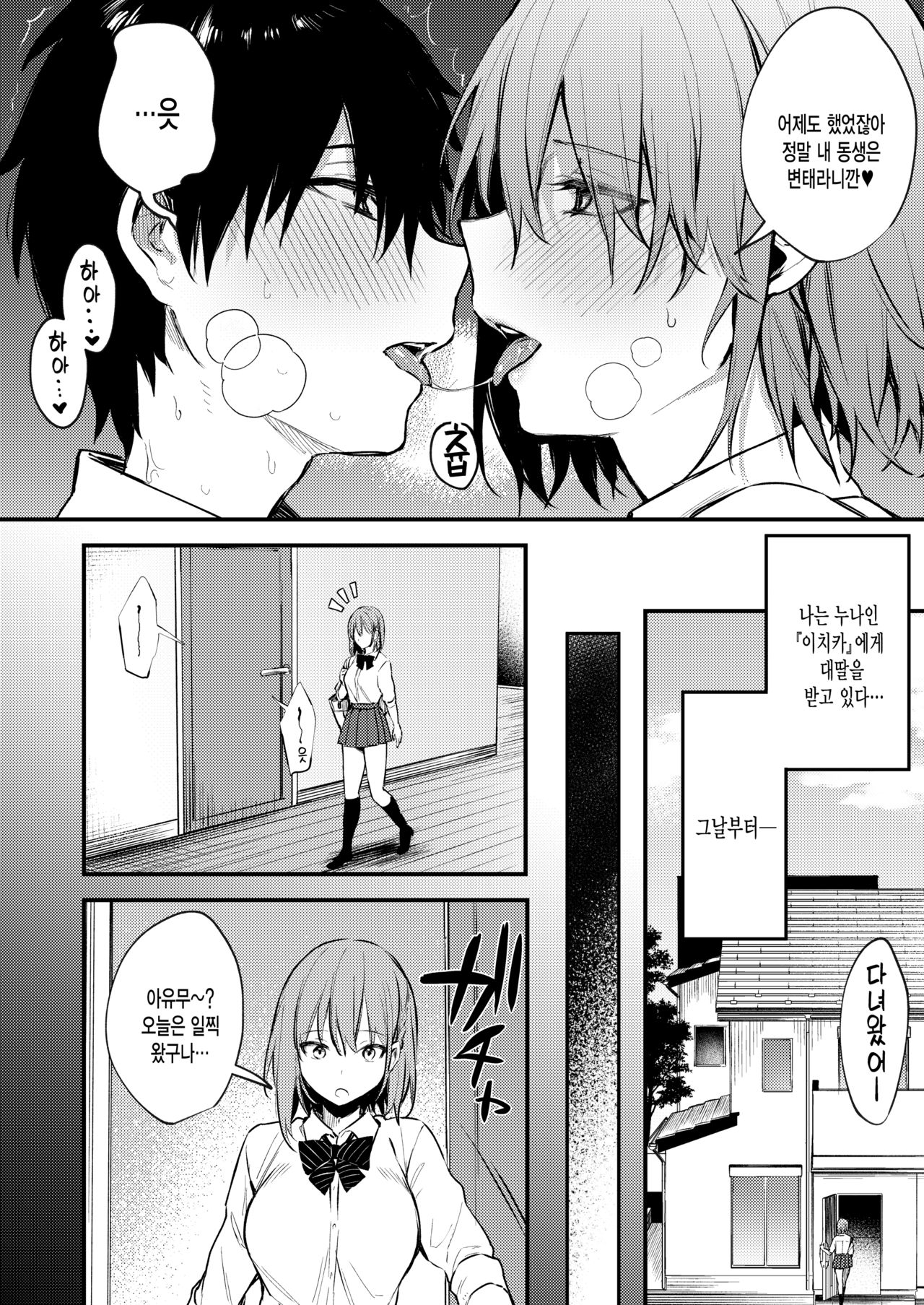 Onee-chan ga Ecchi na Koto bakka Suru kara... | 누나가 야한 짓만 해대니까 page 3 full