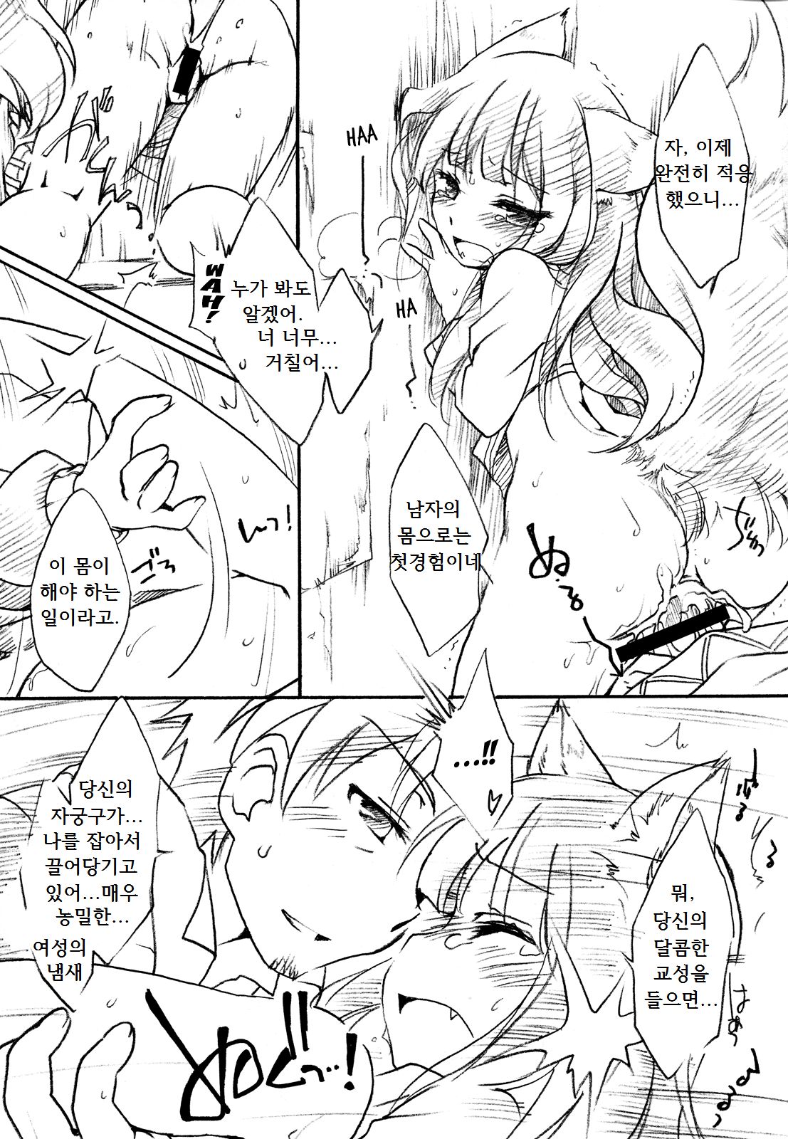 Ookami ga Koushinryou | 늑대가 향신료 page 10 full