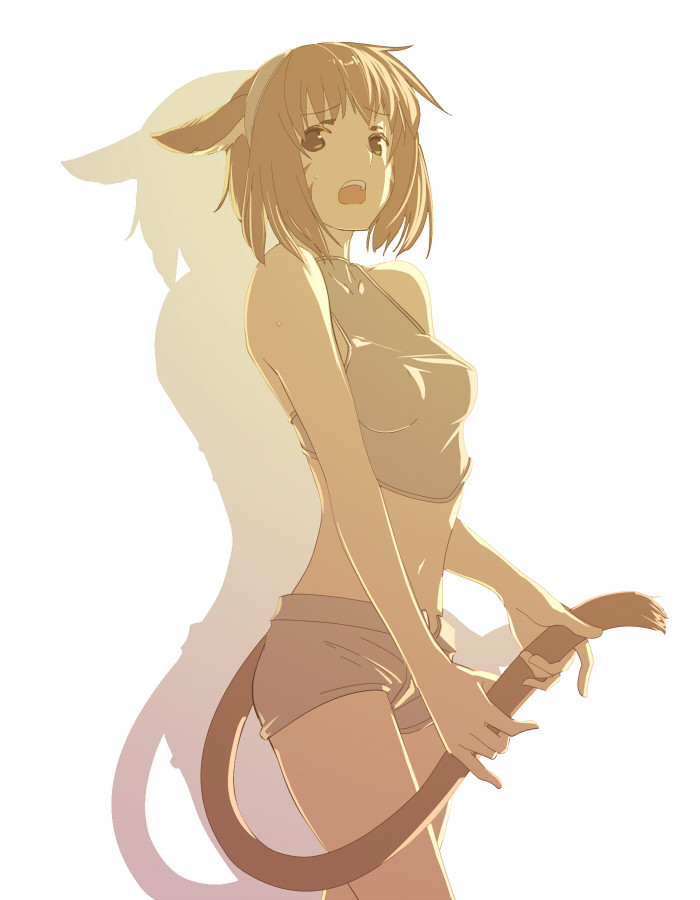 imageboard.neko-sentai.com siterip 28,000~29,999 page 7 full