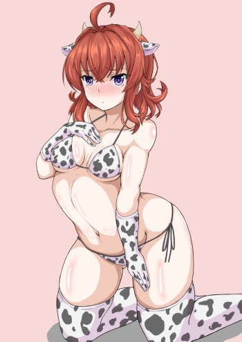 Ushigara Bikini Arashi-kun no Himehajime cover