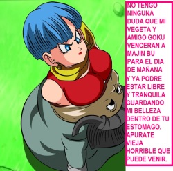 dragon ball z