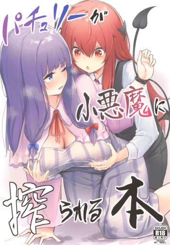 Patchouli ga Koakuma ni Shiborareru Hon cover