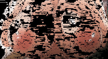 Ajisai no Chiru Koro ni Gifs cover