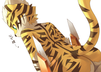 furry.booru.org siterip 52,000~53,999 cover