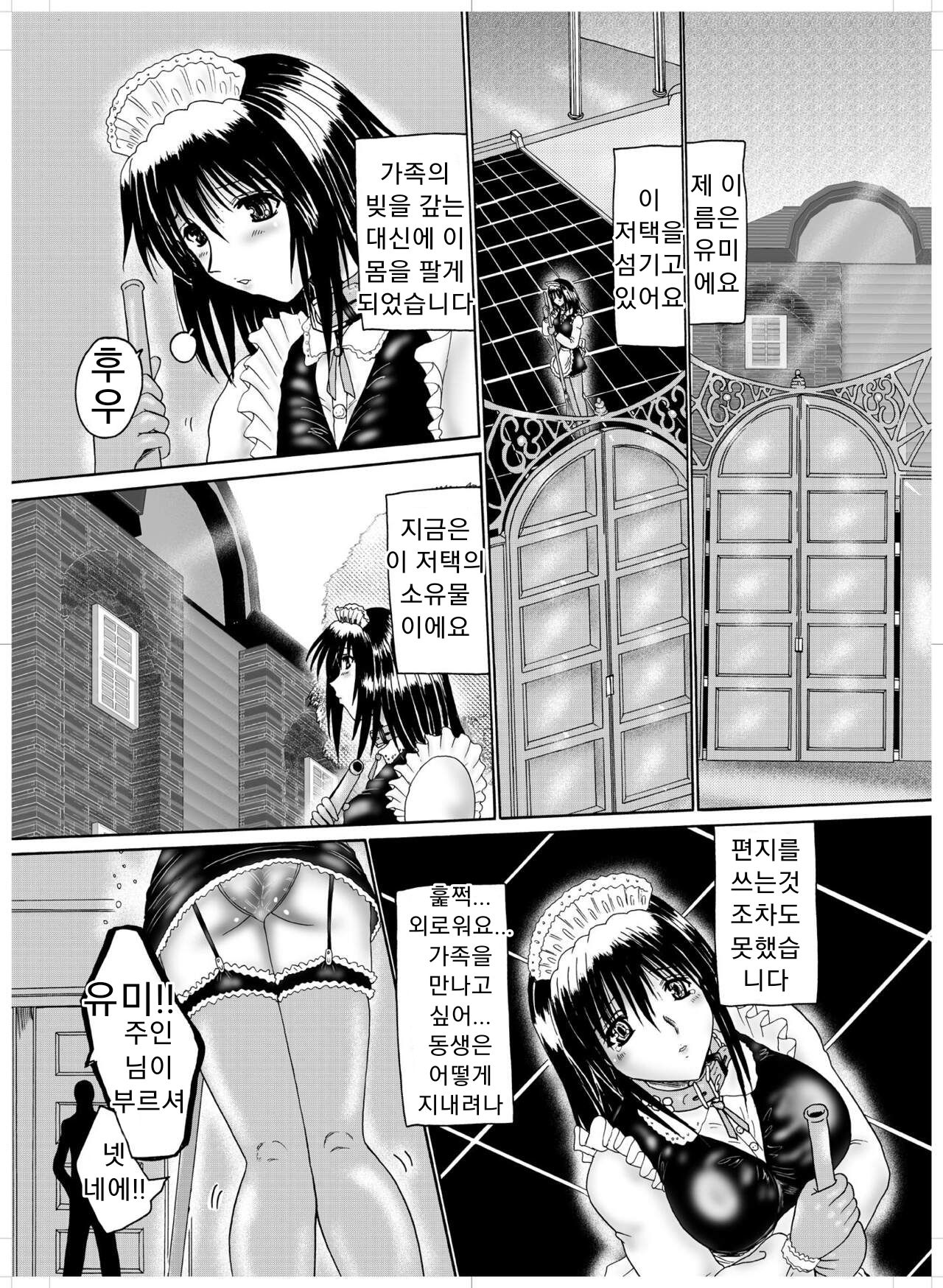 Shitei Dorei Aika | 남매 노예 애가 page 4 full