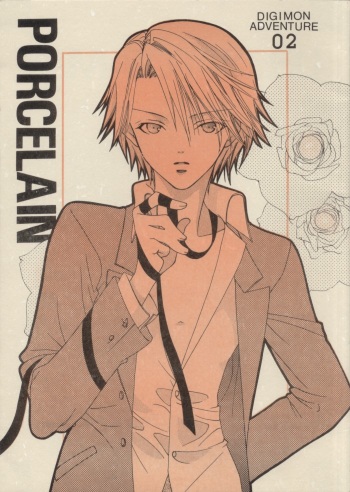 PORCELAIN cover