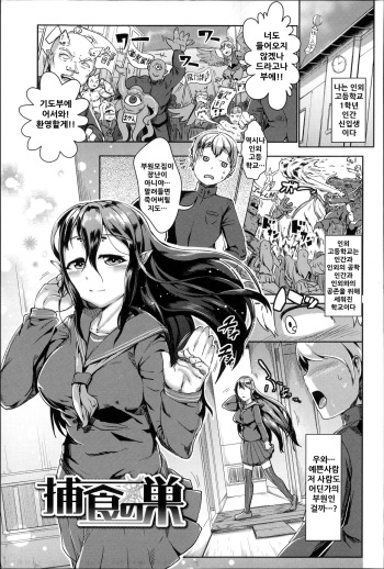 Hoshoku no Su cover