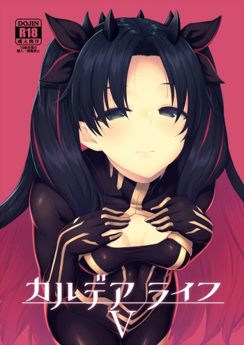 Chaldea Life V cover