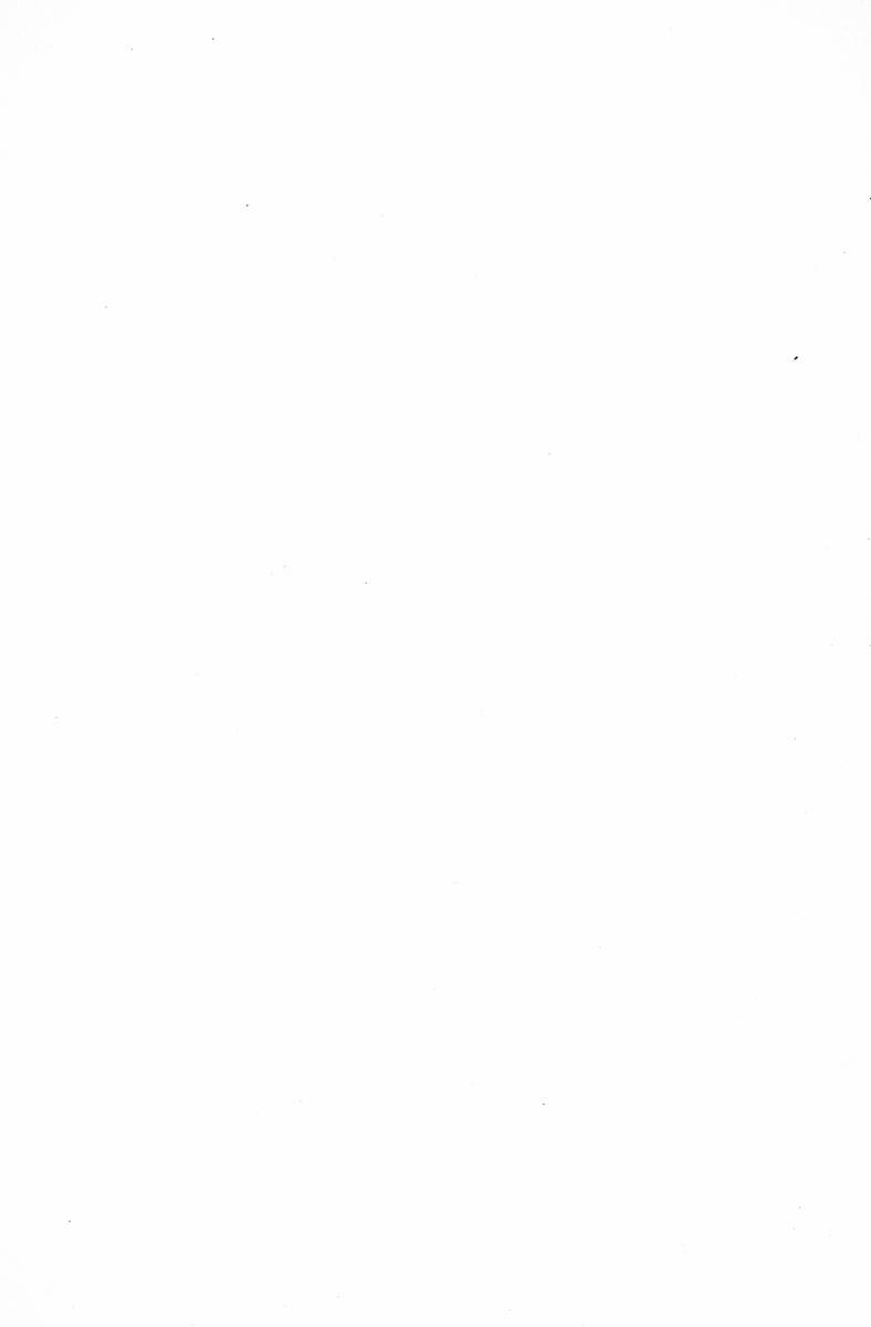 Methyl Methaphysik page 3 full