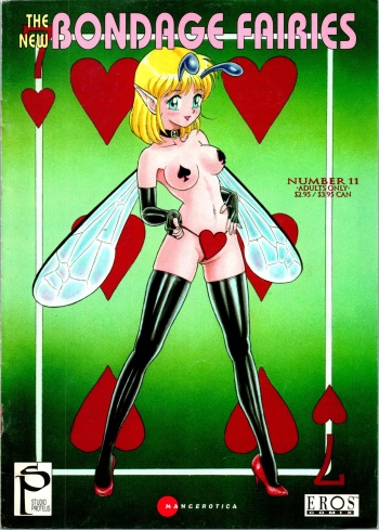 The New Bondage Fairies 11 cover