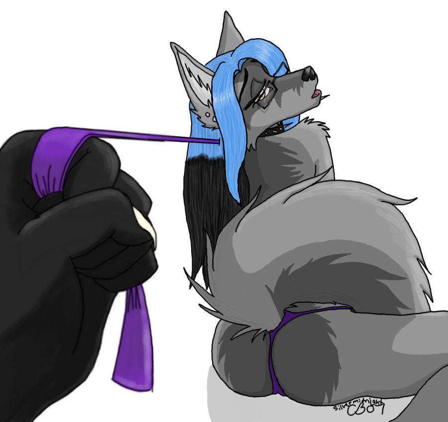 furry.booru.org siterip 24,000~25,999 page 2 full