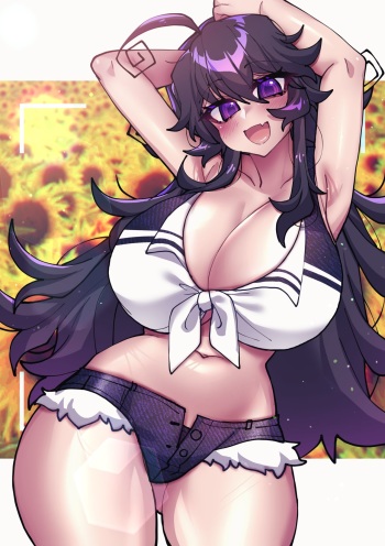 Sunflowers &amp; Hotpants cover