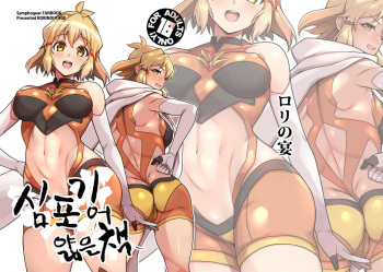 Symphogear no Usui Hon | 심포기어 얇은 책 cover