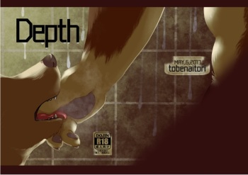 Depth cover