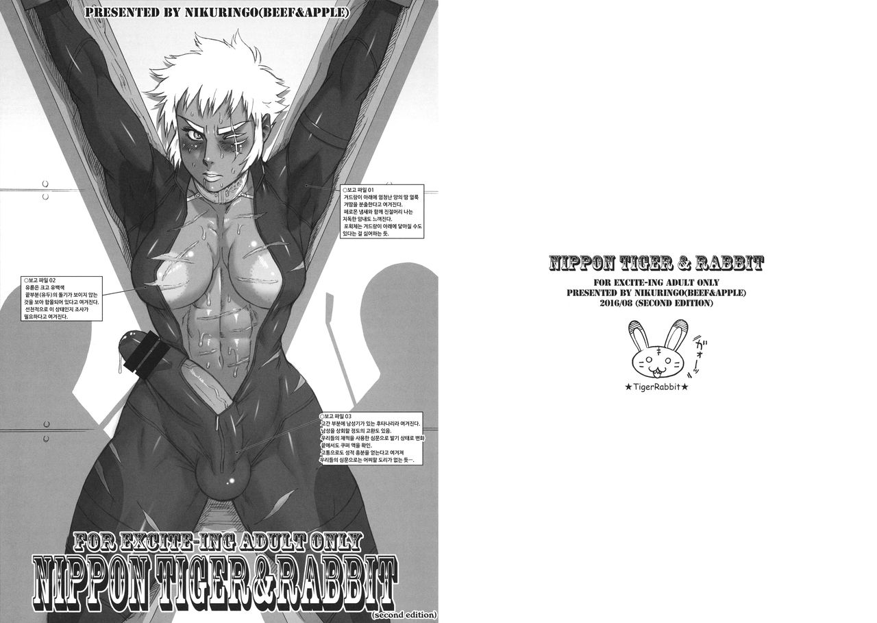 NIPPON TIGER &amp; RABBIT page 2 full