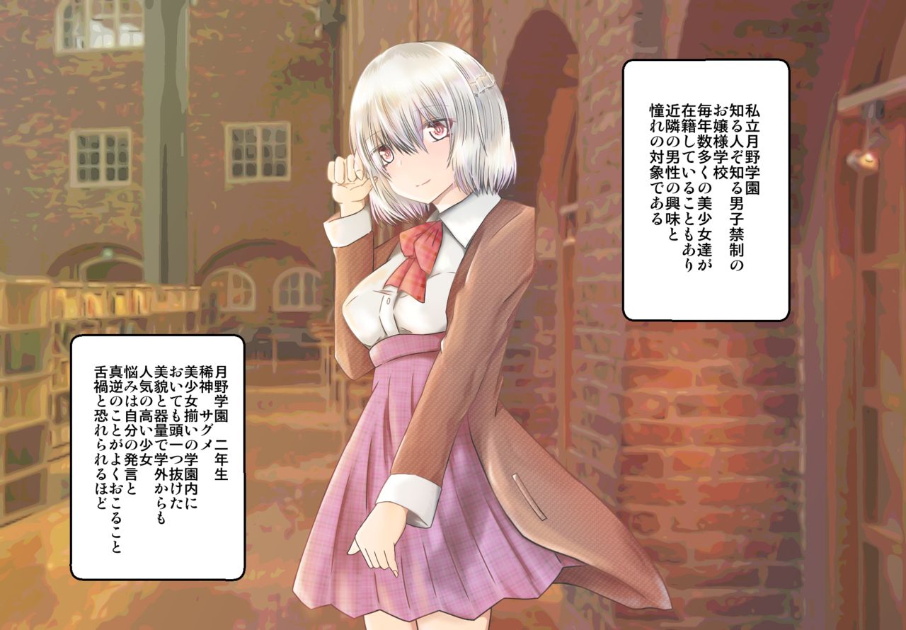 女子高生サグメ 痴漢電車編 page 2 full