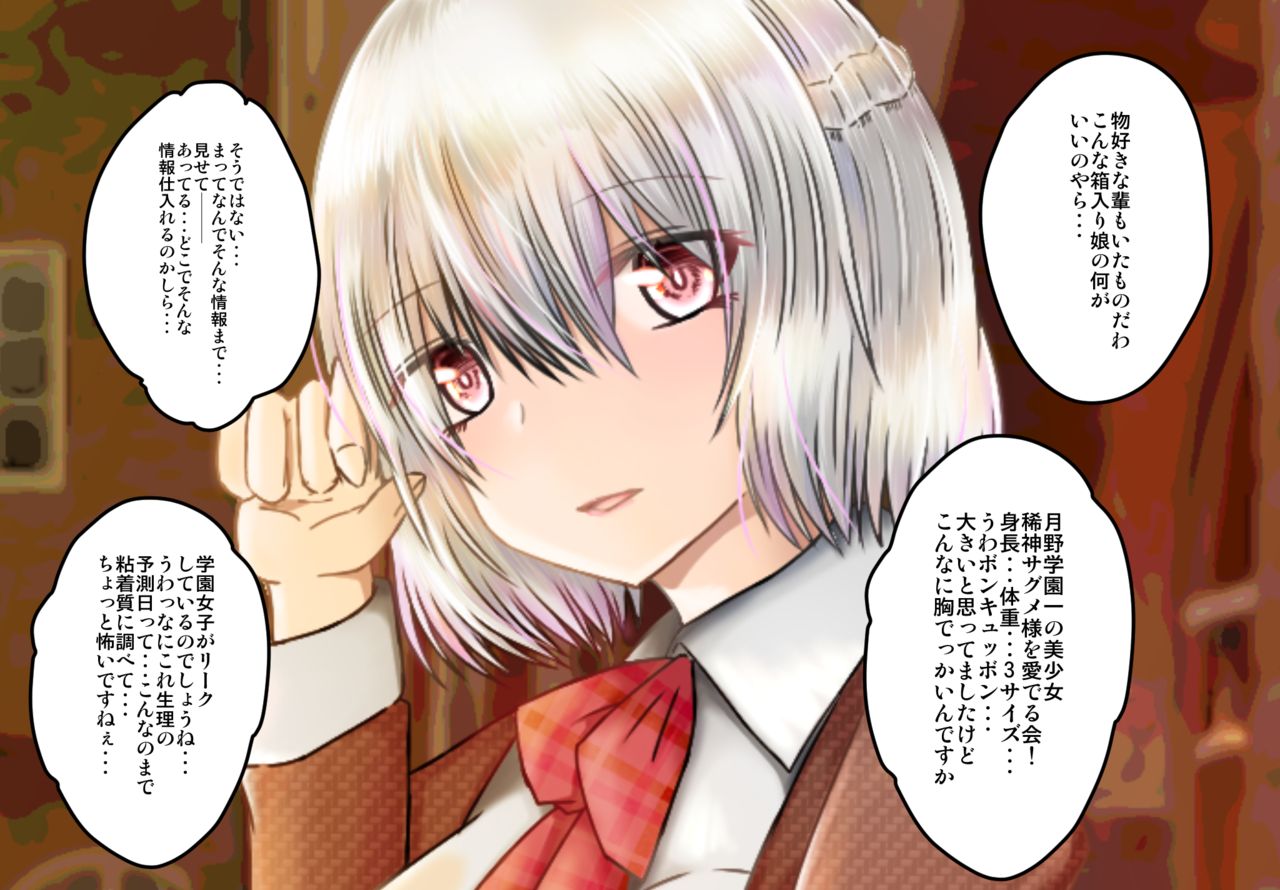 女子高生サグメ 痴漢電車編 page 5 full